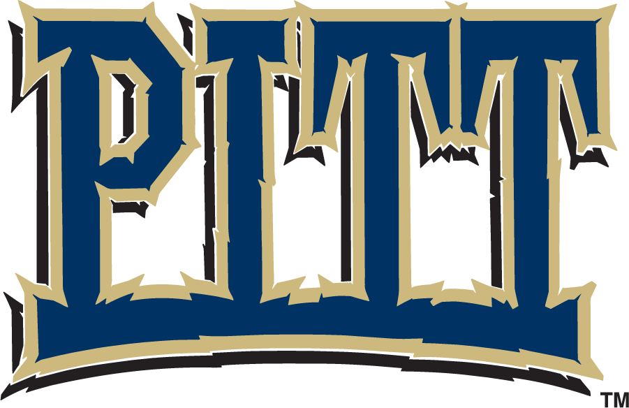 Pittsburgh Panthers 1997-2005 Wordmark Logo diy DTF decal sticker